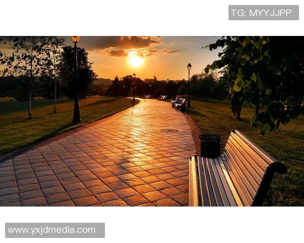 一位足球球星在荣耀背后面对孤独与压力的内心独白