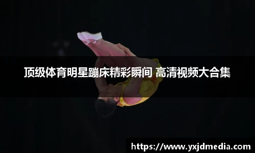 BB贝博