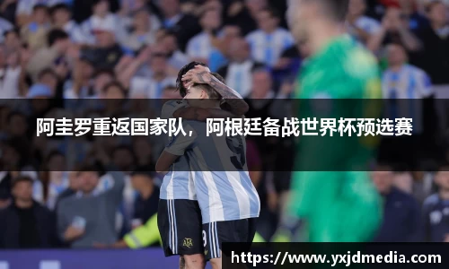 BB贝博登录入口