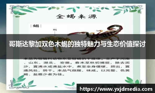 BB贝博登录入口